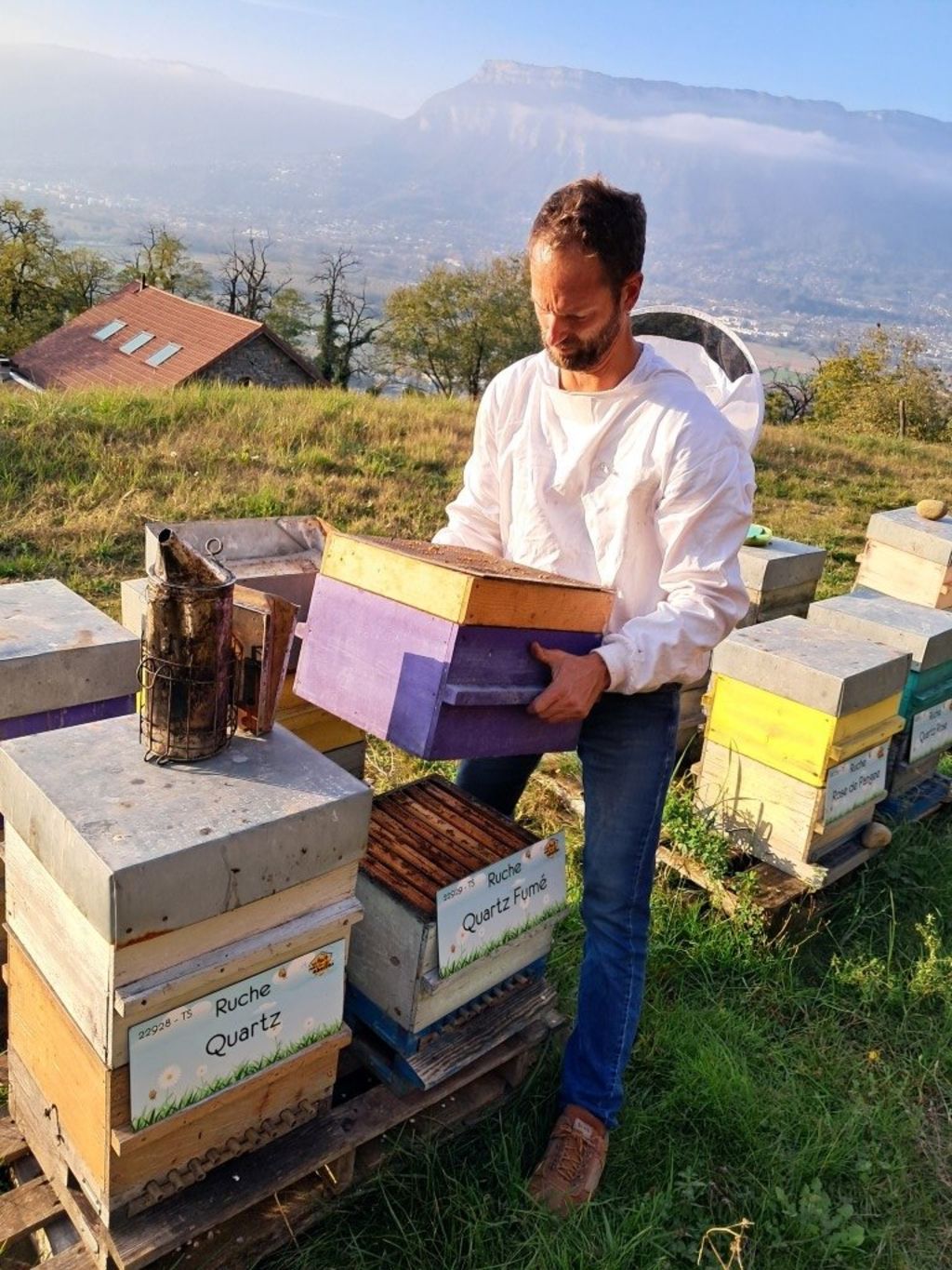 La ruche Quartz Fumé