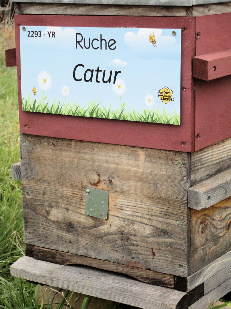 La ruche