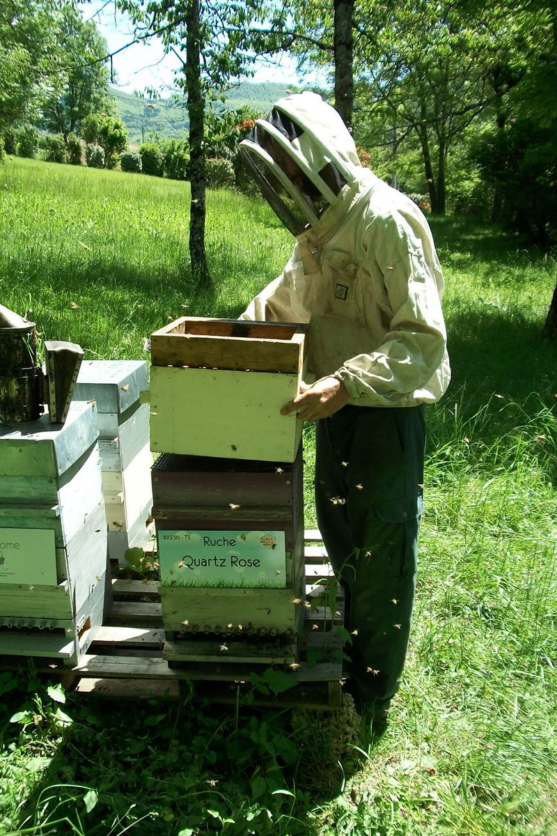La ruche Quartz Rose