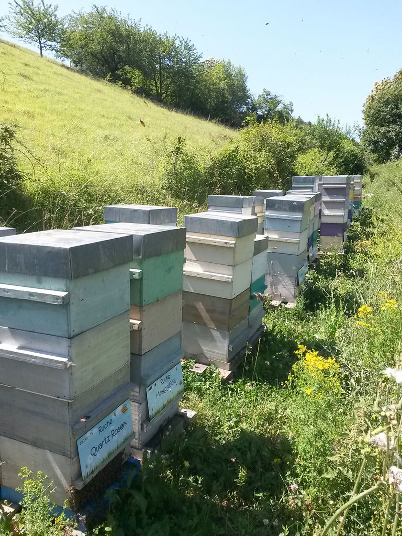 La ruche Quartz Rose