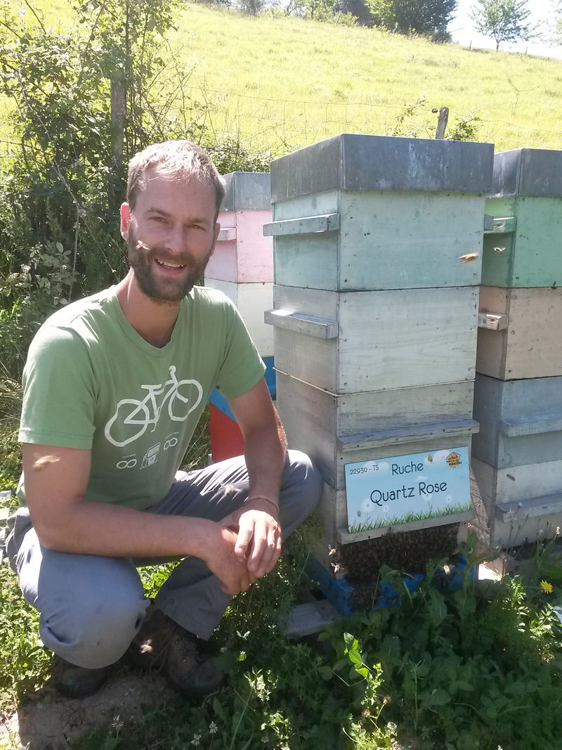 La ruche Quartz Rose