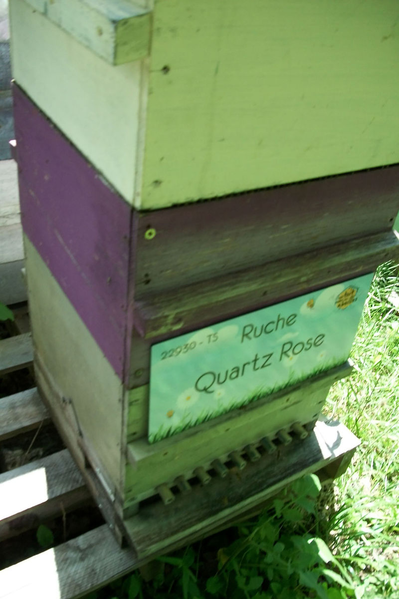 La ruche Quartz Rose