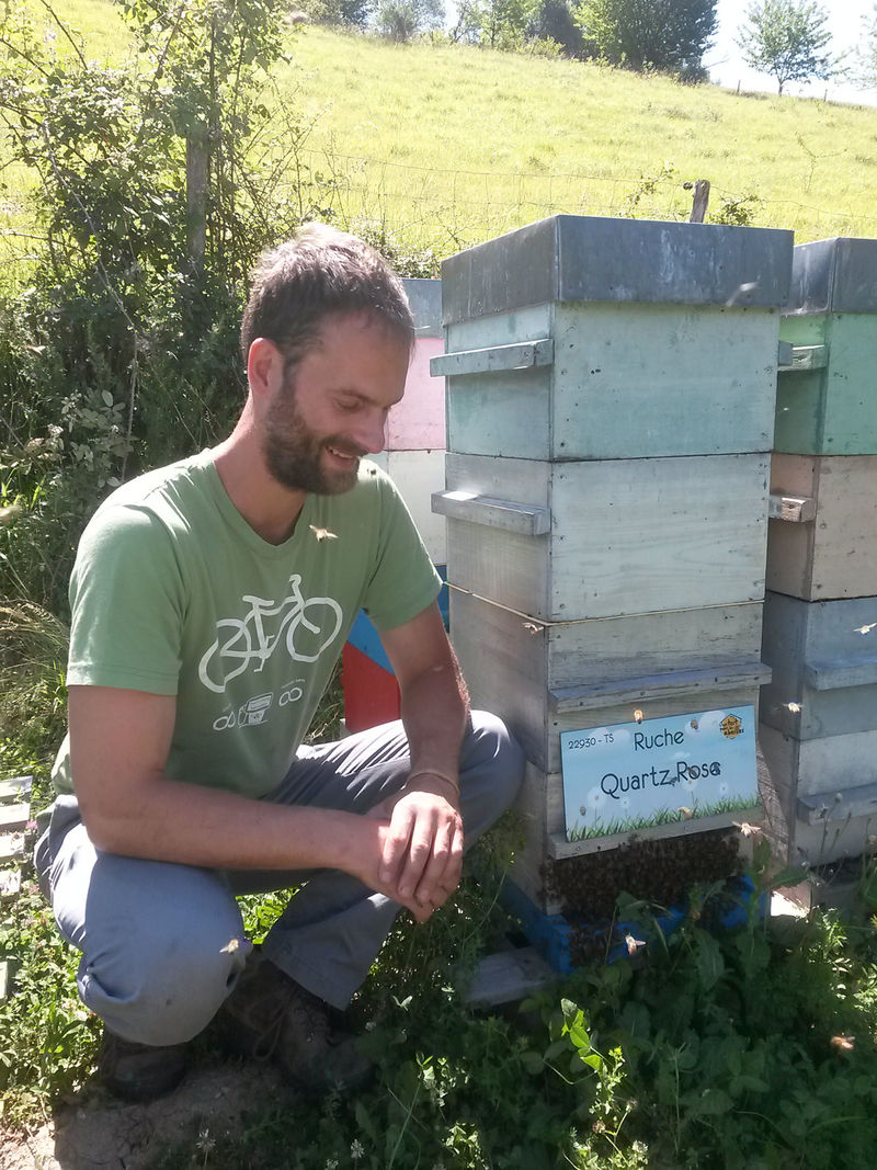 La ruche Quartz Rose
