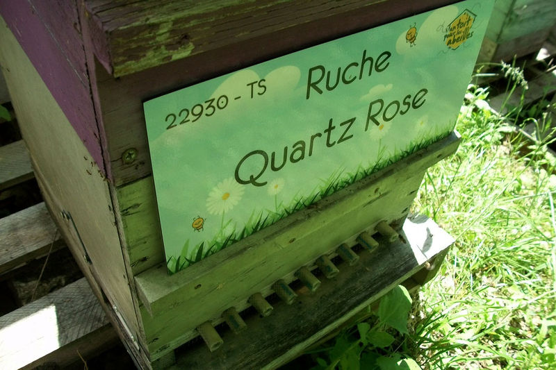 La ruche Quartz Rose