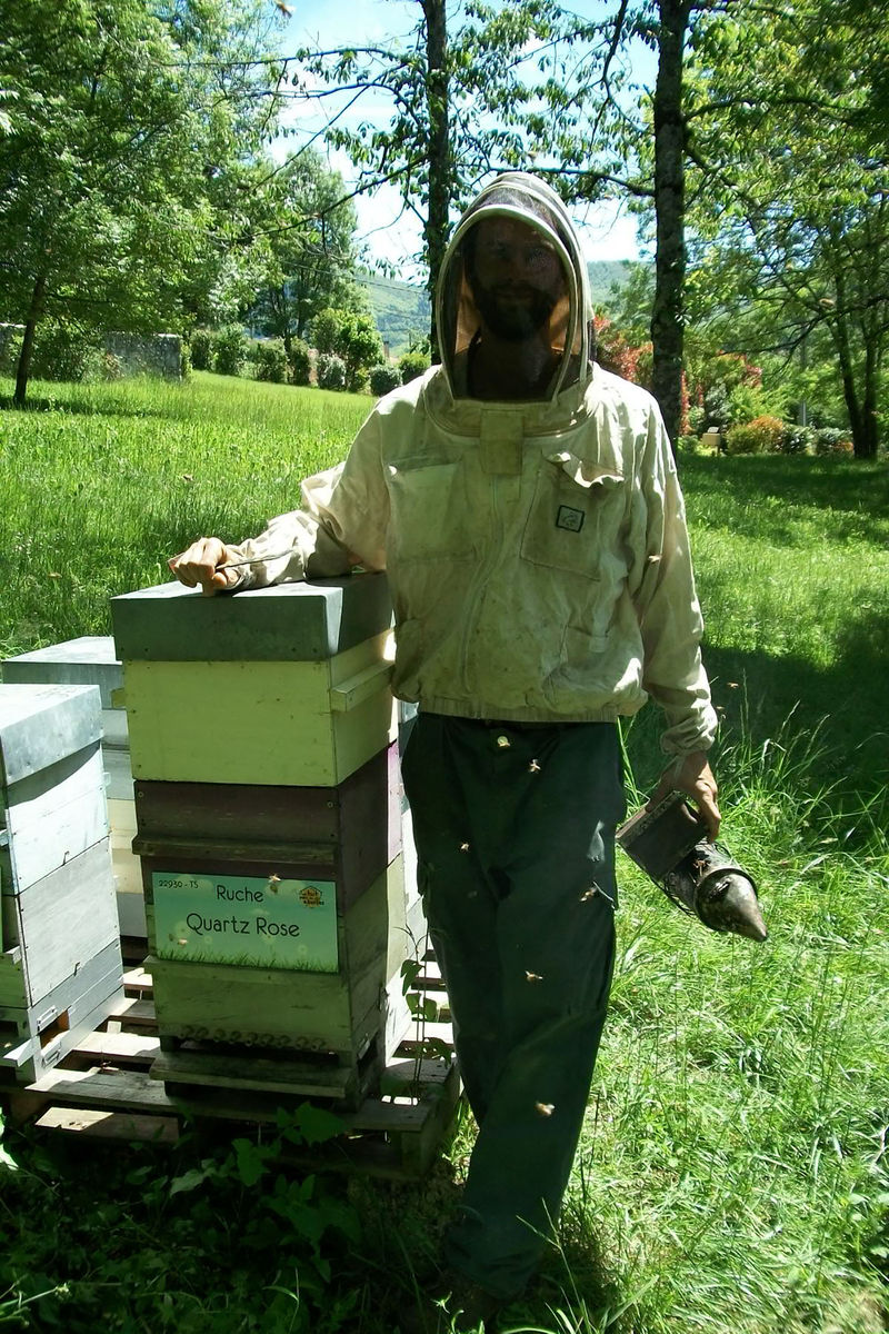 La ruche Quartz Rose