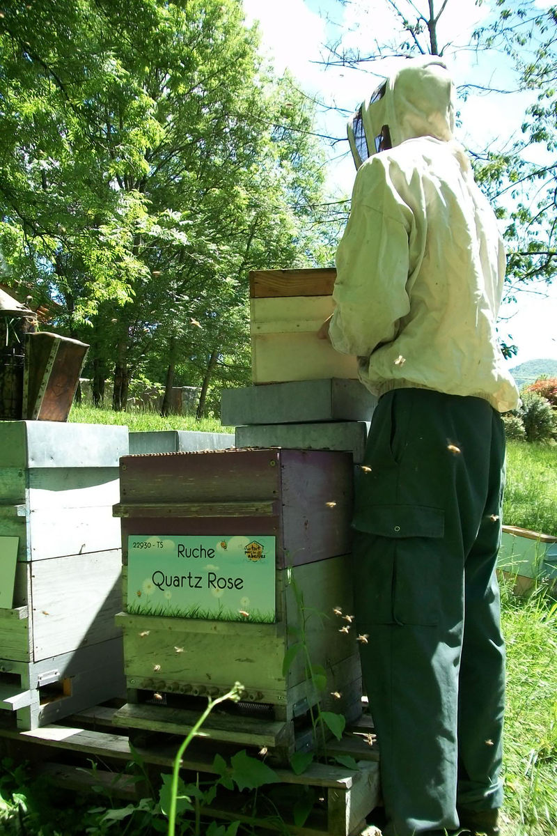 La ruche Quartz Rose