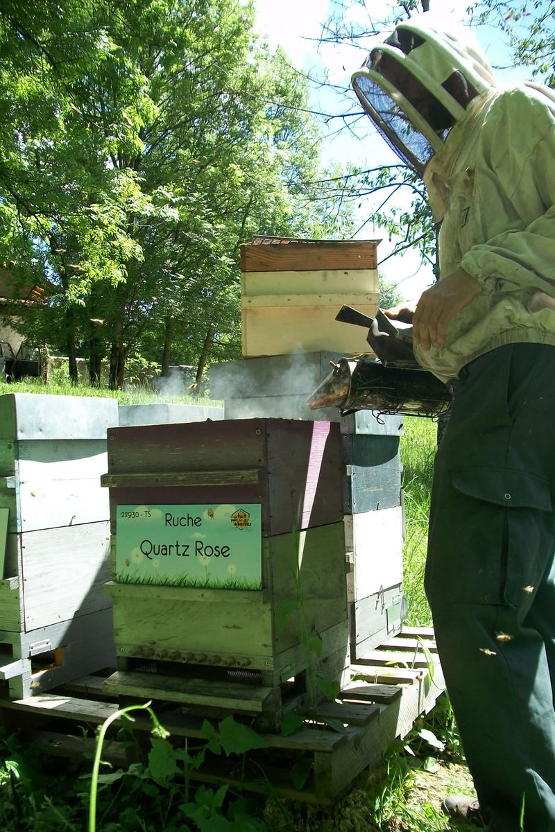 La ruche Quartz Rose