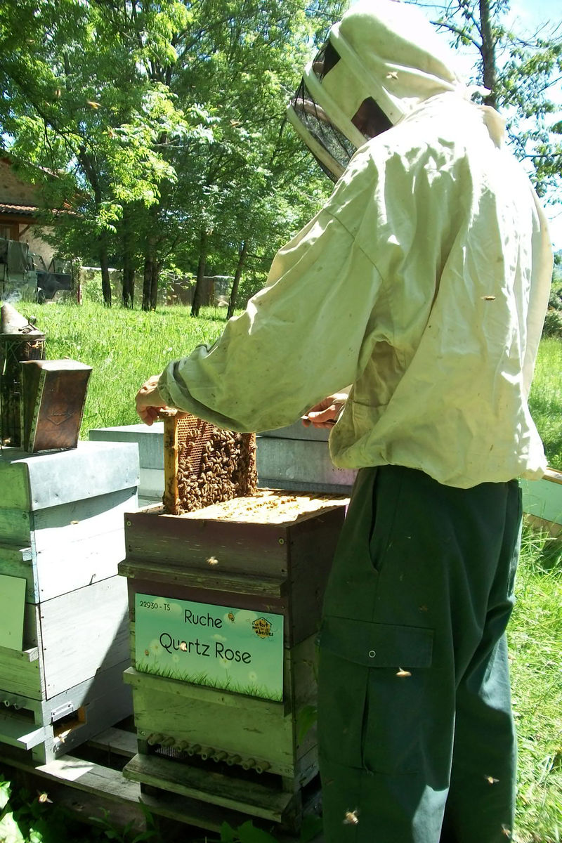 La ruche Quartz Rose