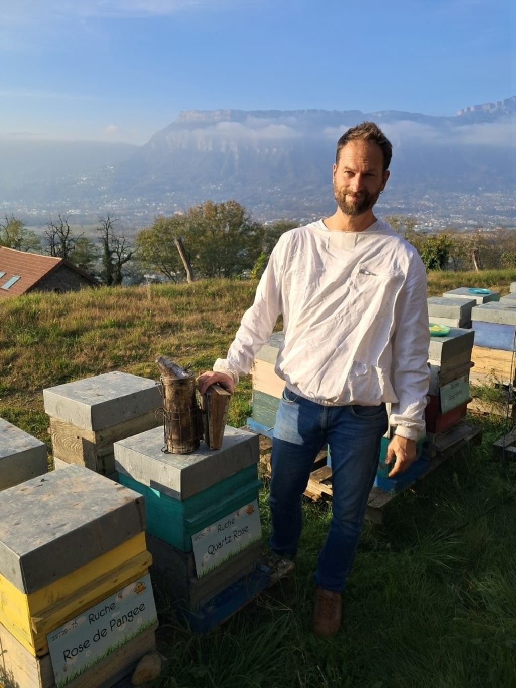 La ruche Quartz Rose