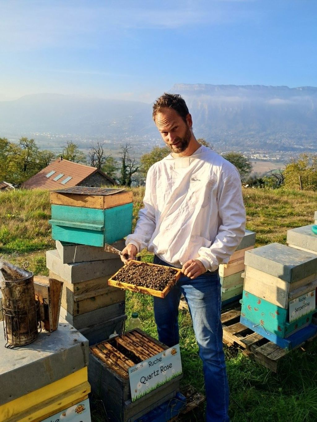 La ruche Quartz Rose