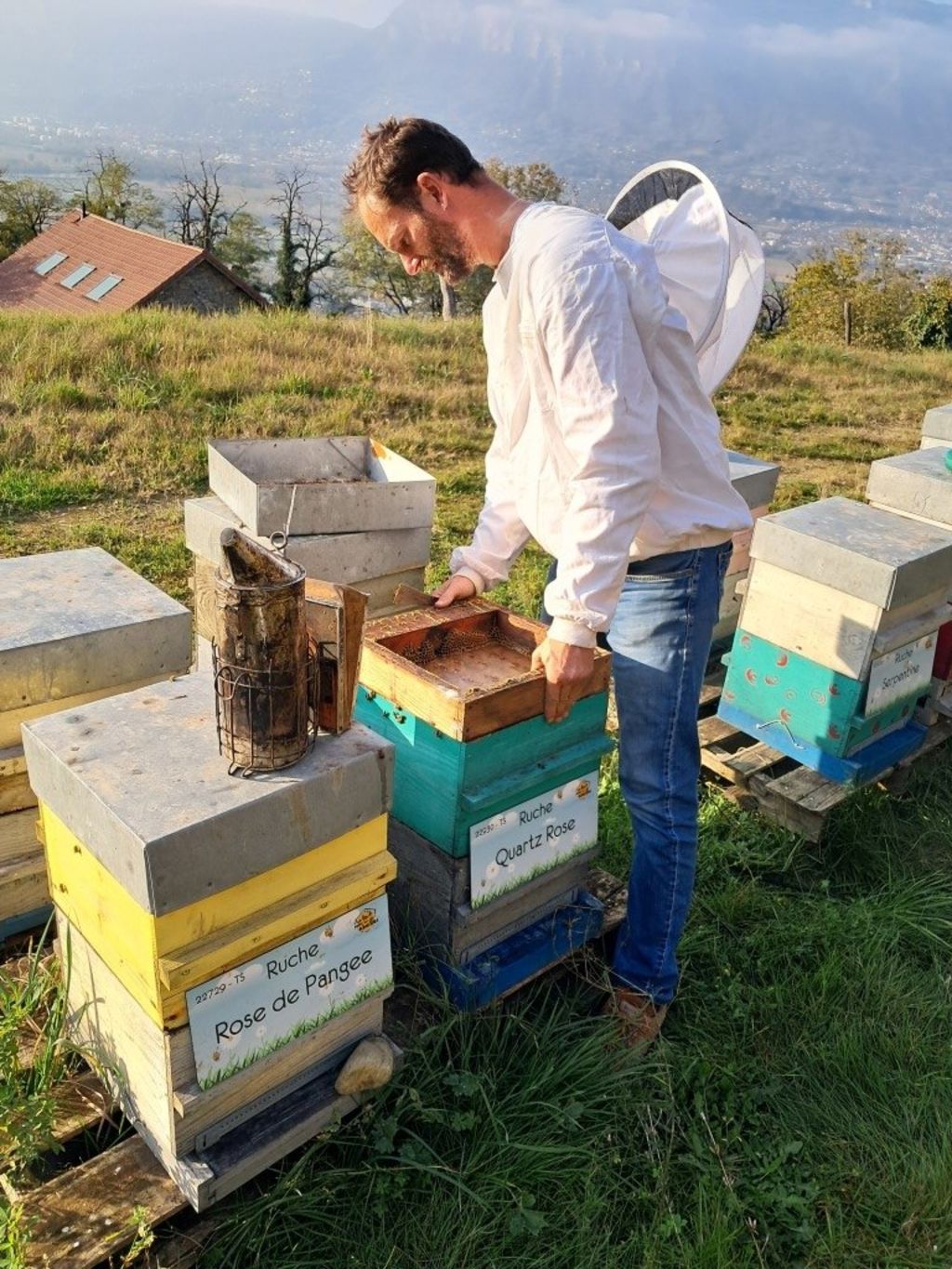La ruche Quartz Rose