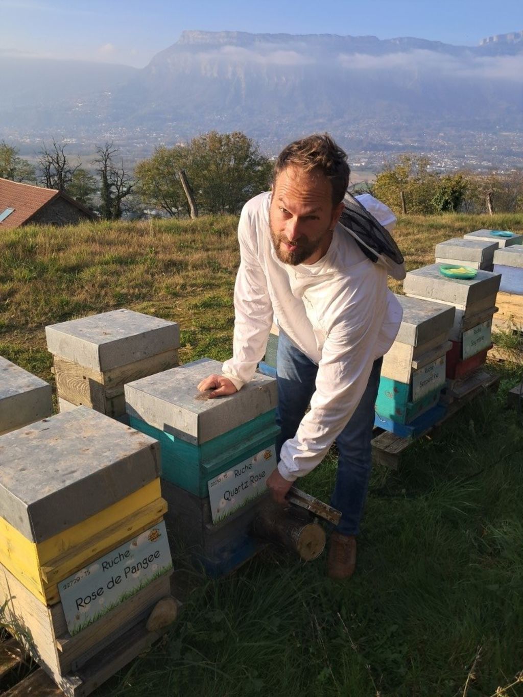 La ruche Quartz Rose