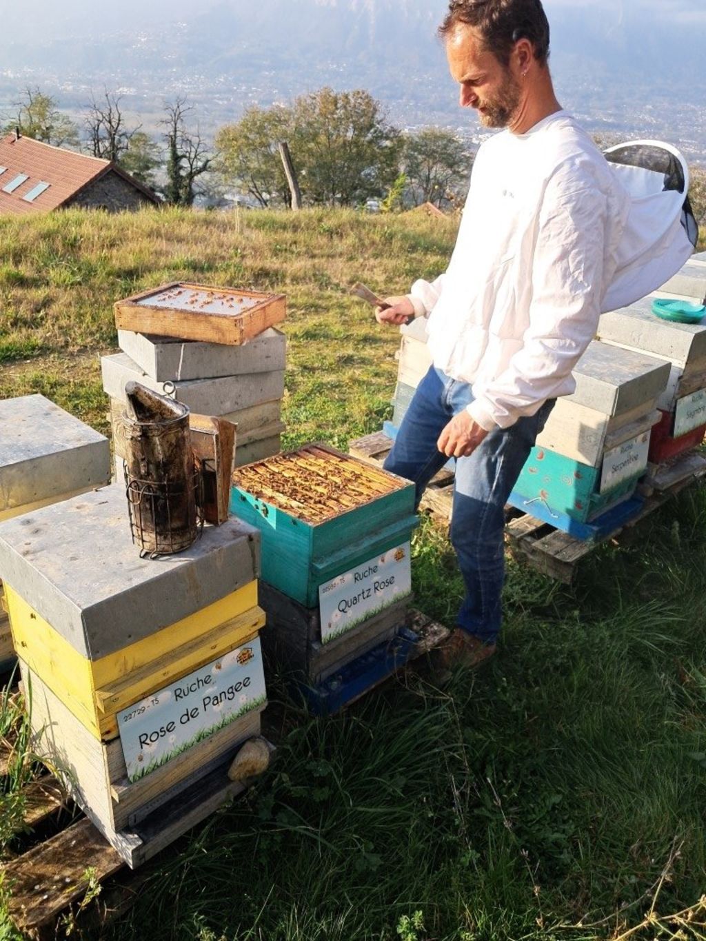 La ruche Quartz Rose