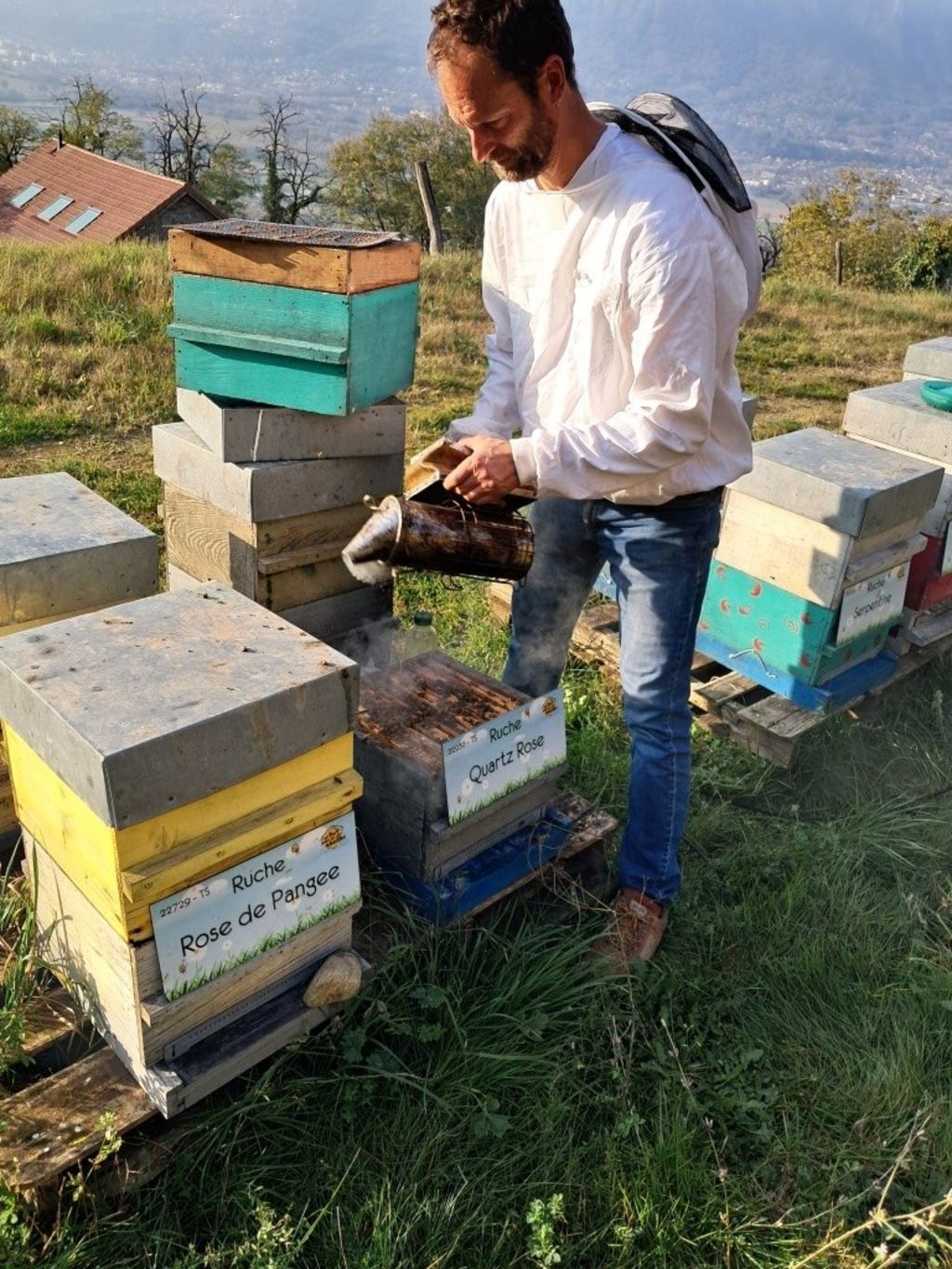 La ruche Quartz Rose