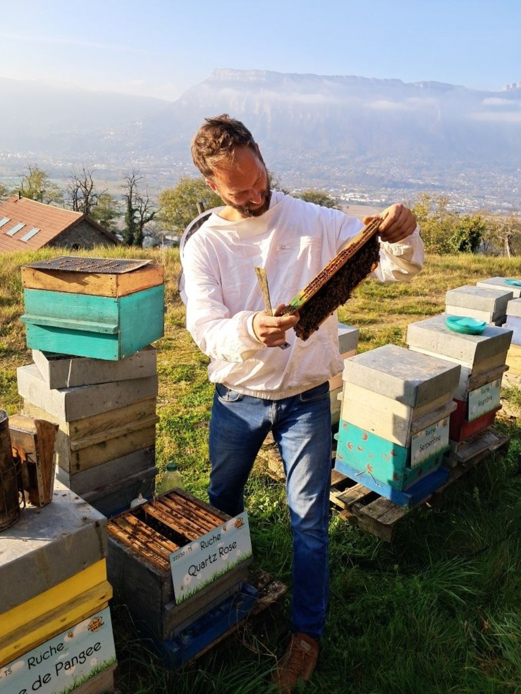 La ruche Quartz Rose