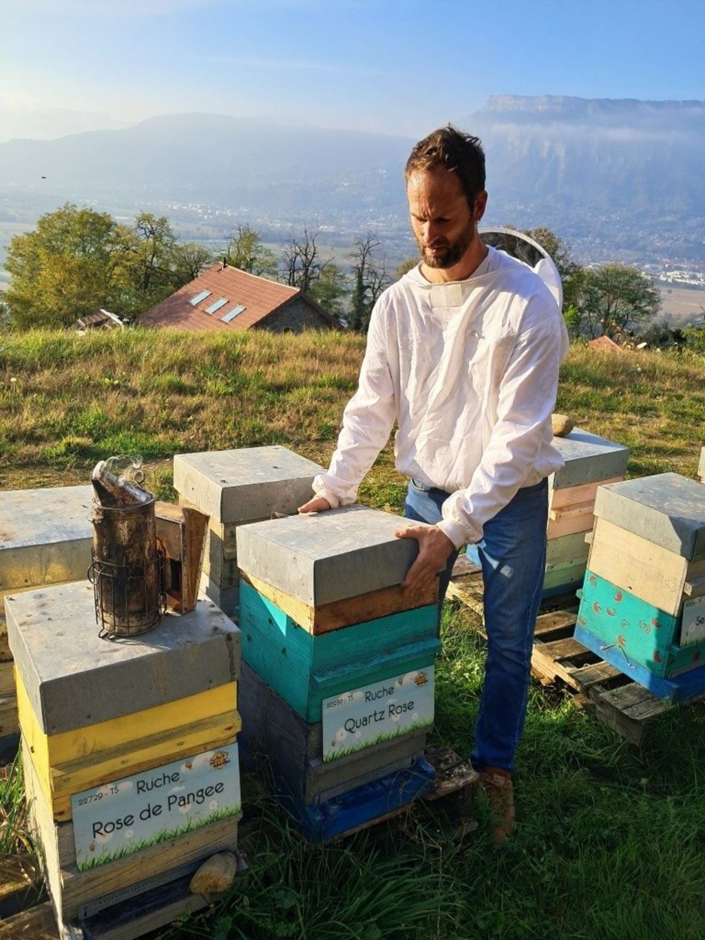 La ruche Quartz Rose