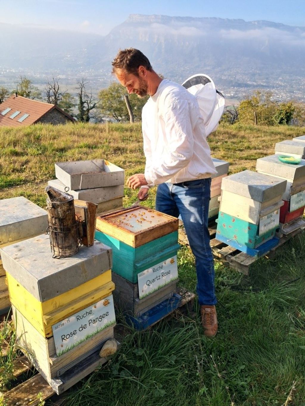 La ruche Quartz Rose