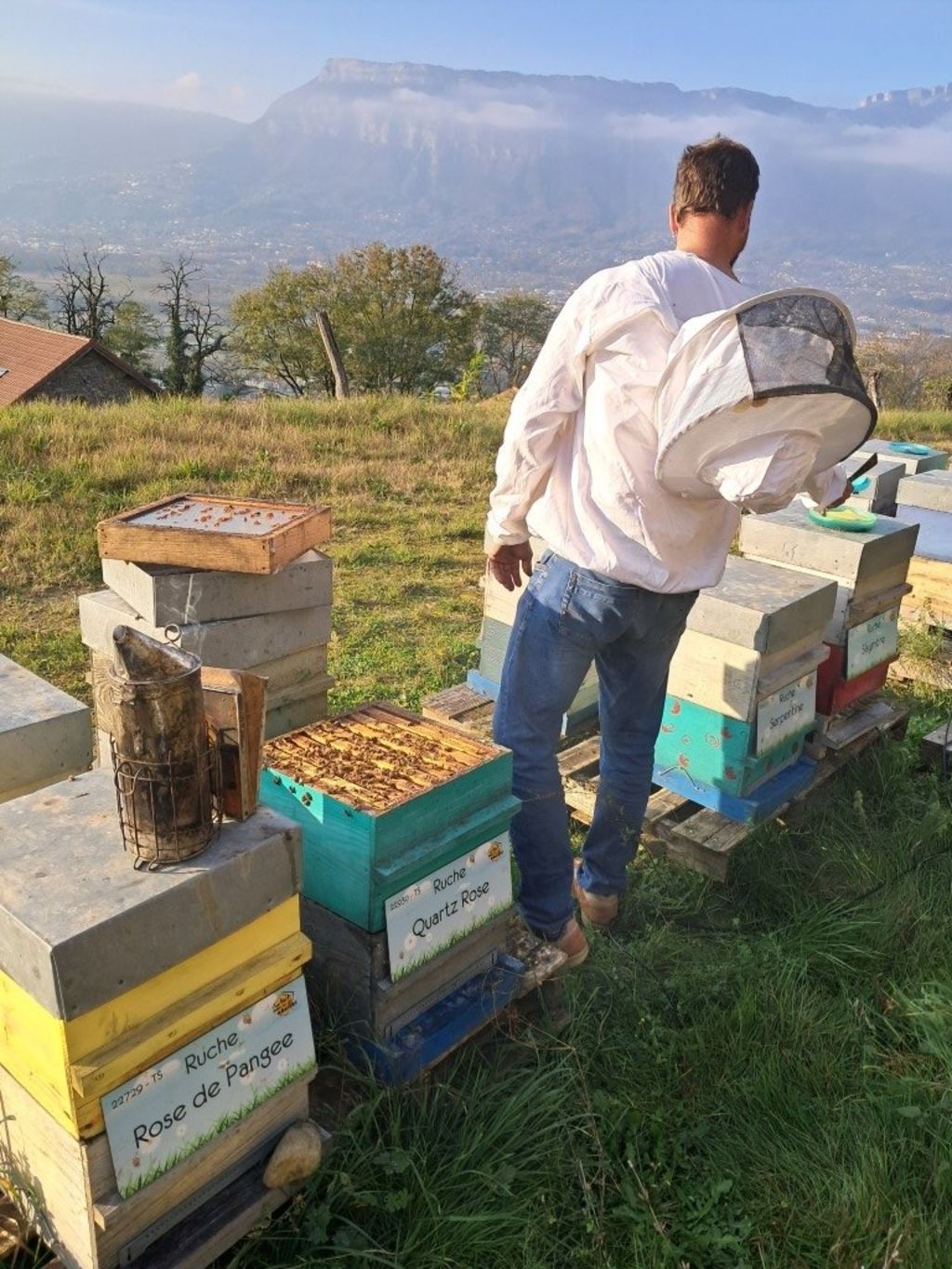 La ruche Quartz Rose