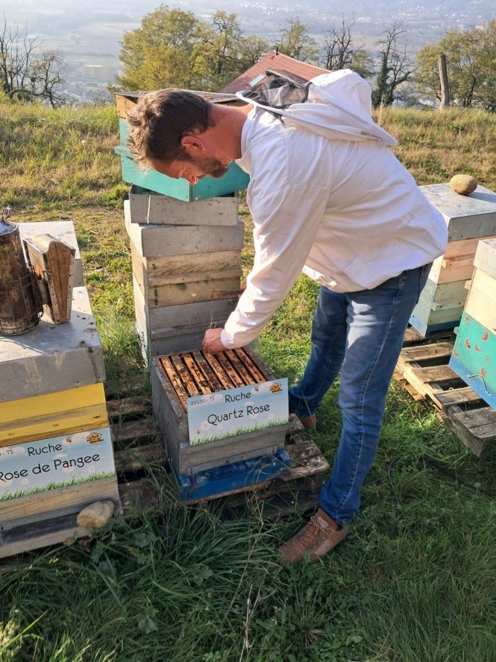 La ruche Quartz Rose
