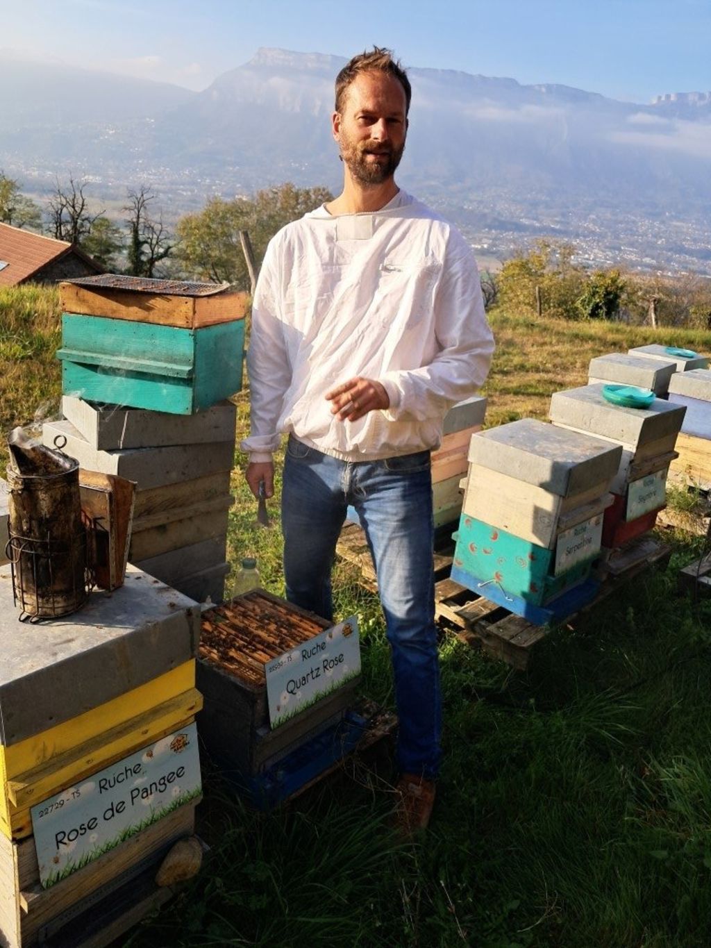 La ruche Quartz Rose