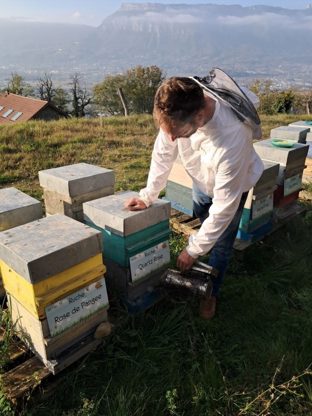 La ruche Quartz Rose