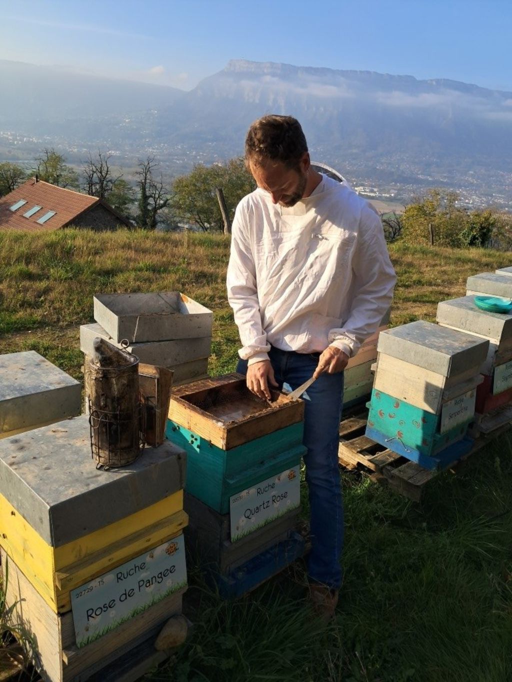 La ruche Quartz Rose