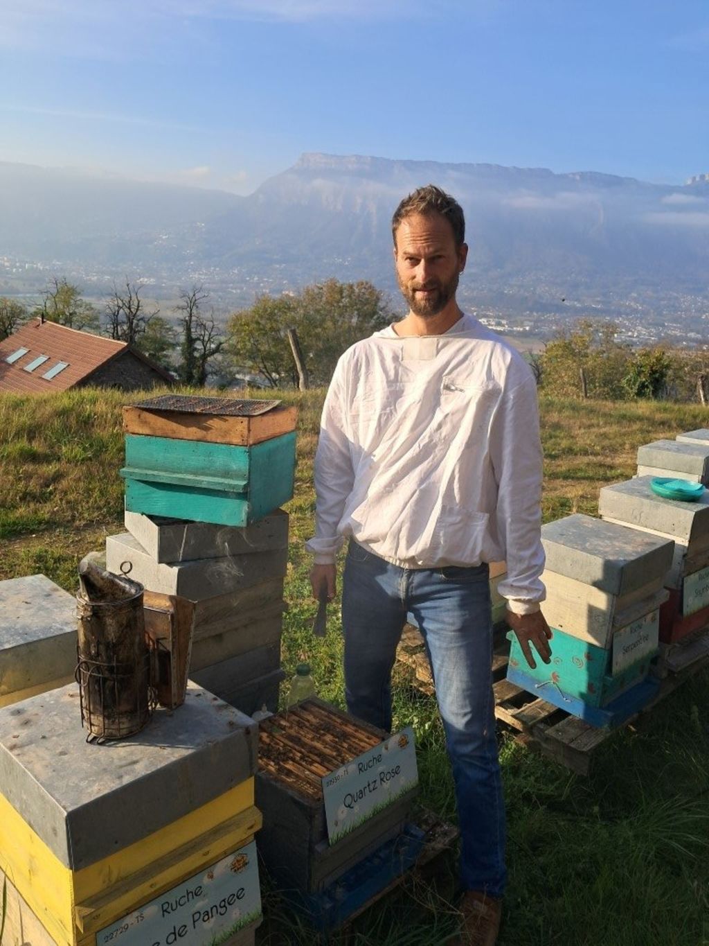 La ruche Quartz Rose