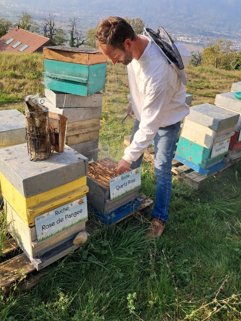 La ruche Quartz Rose