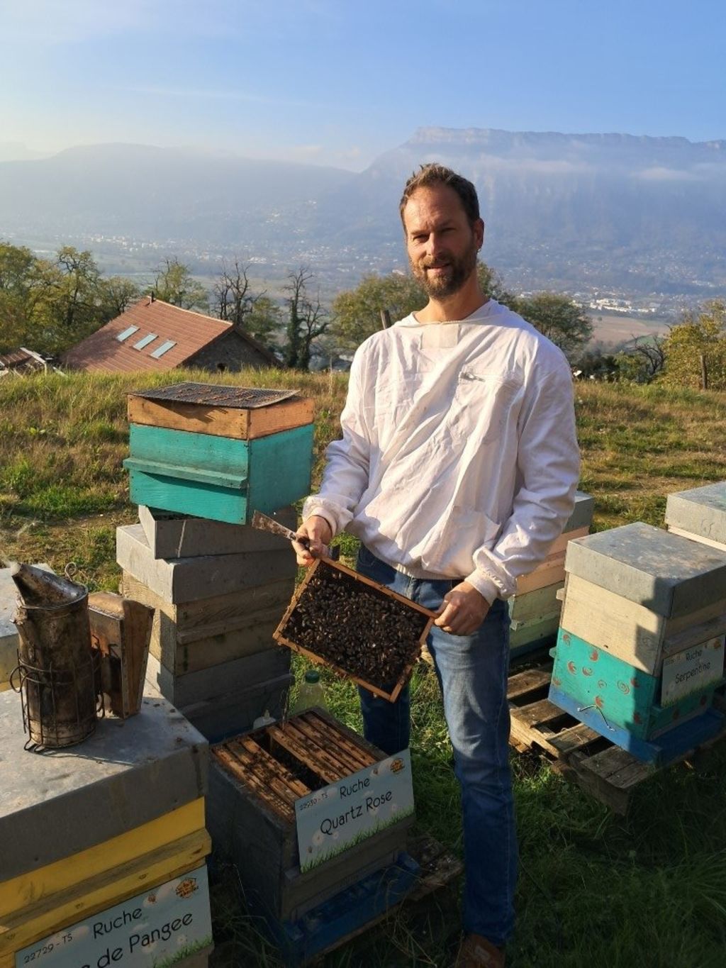 La ruche Quartz Rose