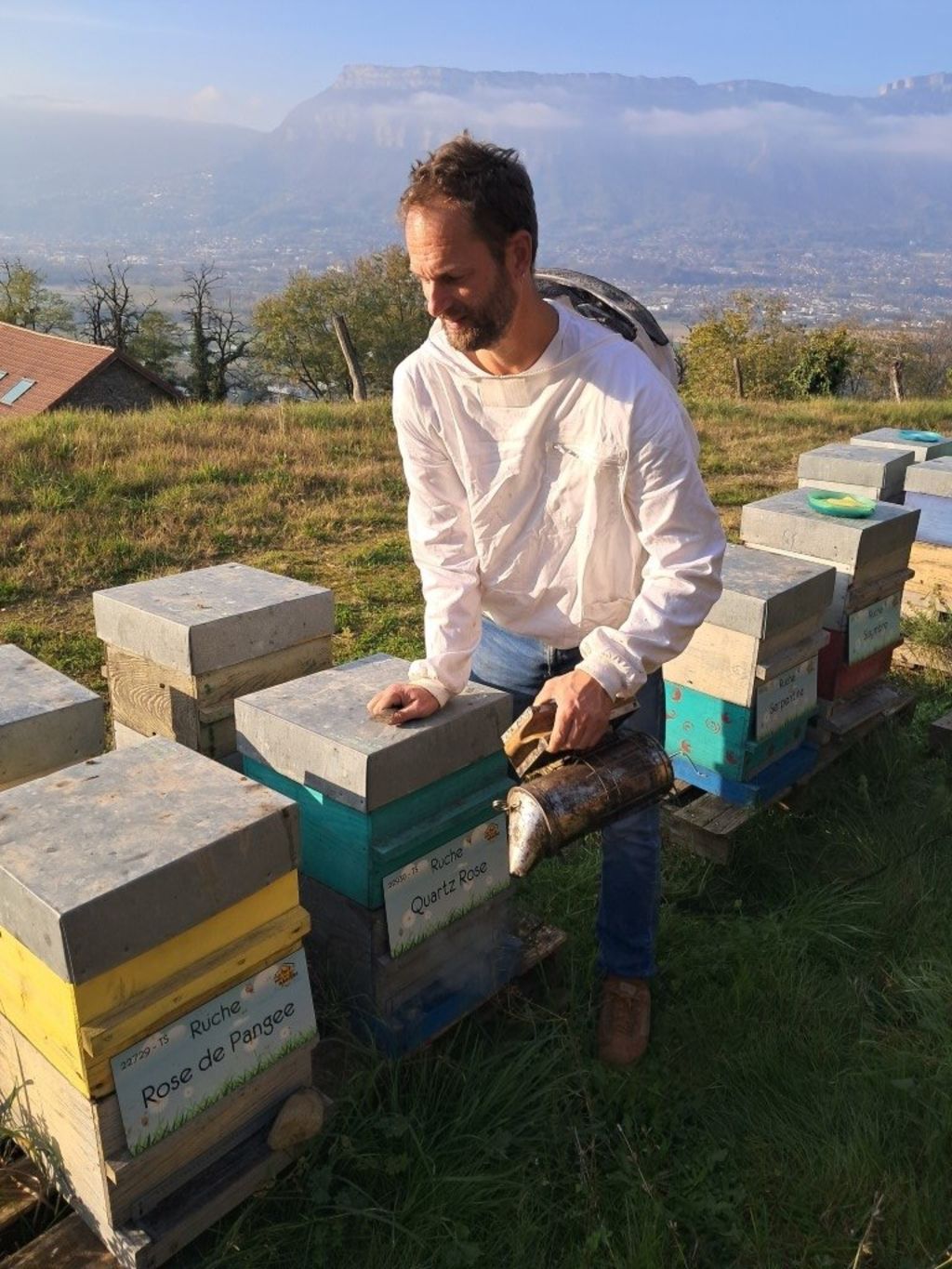 La ruche Quartz Rose