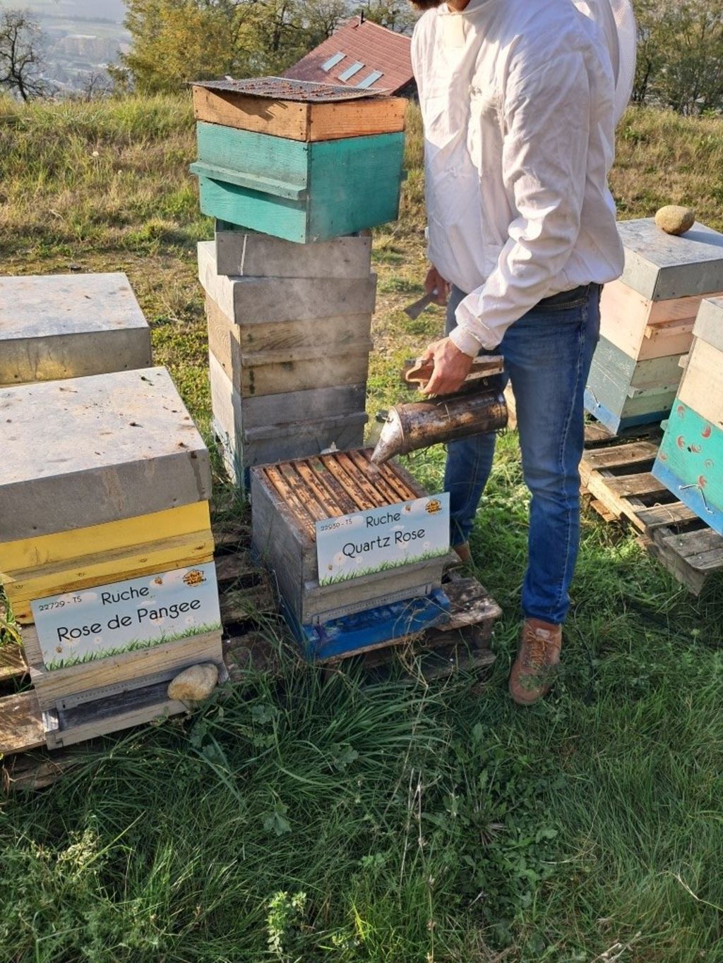 La ruche Quartz Rose