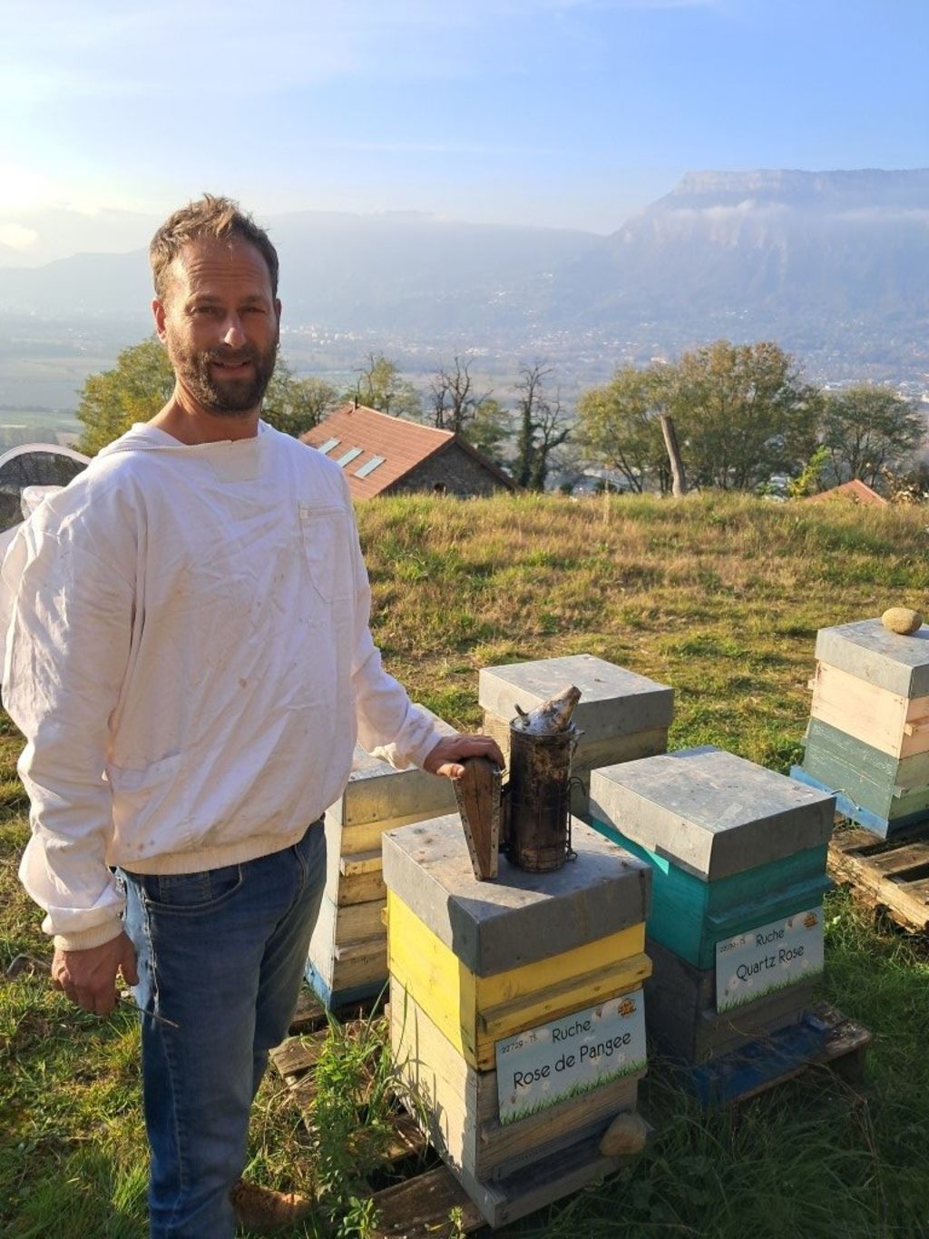 La ruche Quartz Rose