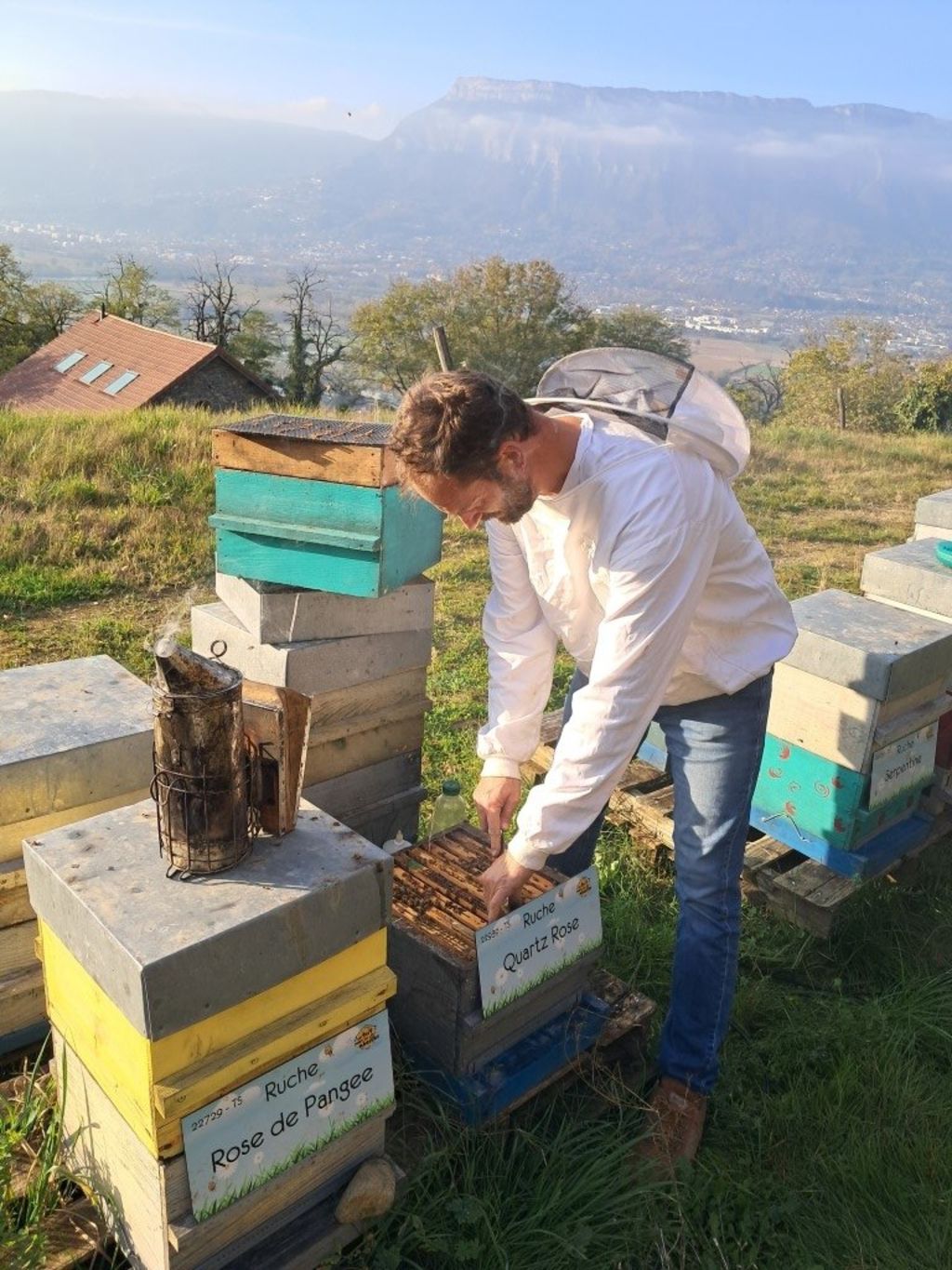 La ruche Quartz Rose