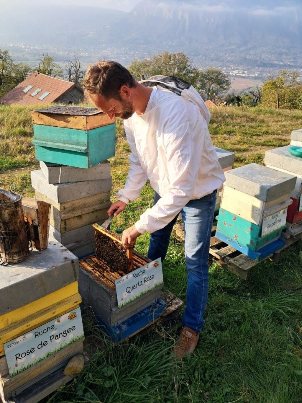 La ruche Quartz Rose