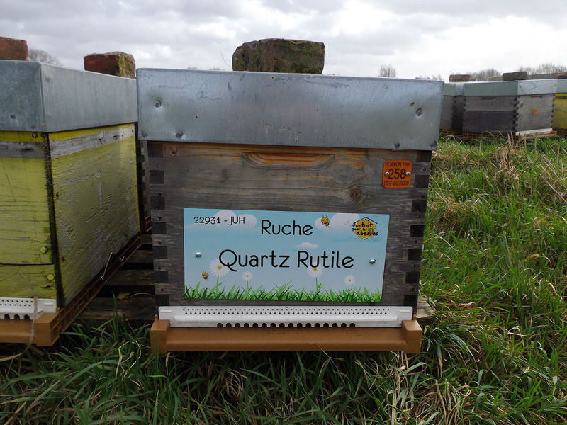 La ruche