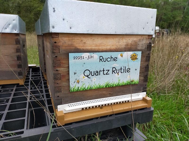 La ruche Quartz Rutile