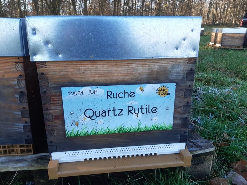 La ruche Quartz Rutile