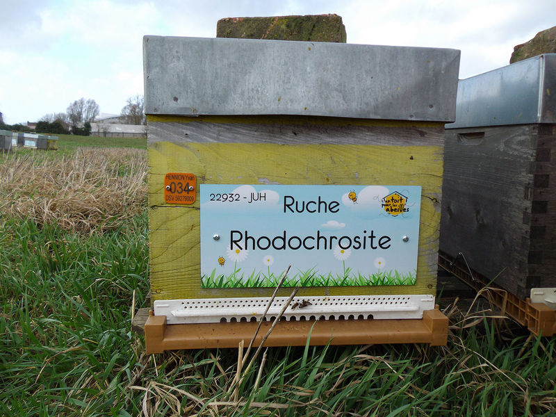 La ruche