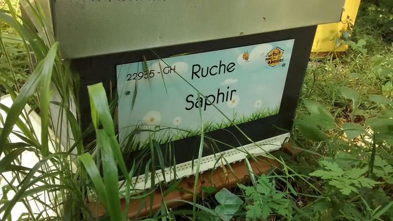 La ruche