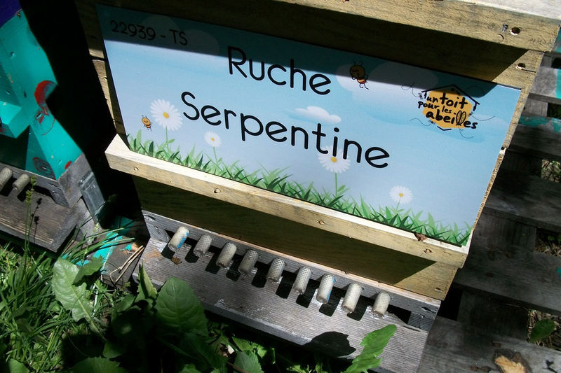 La ruche Serpentine