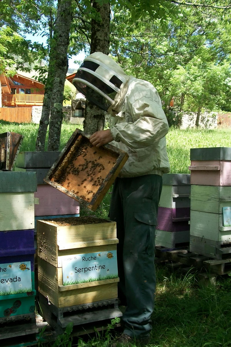 La ruche Serpentine