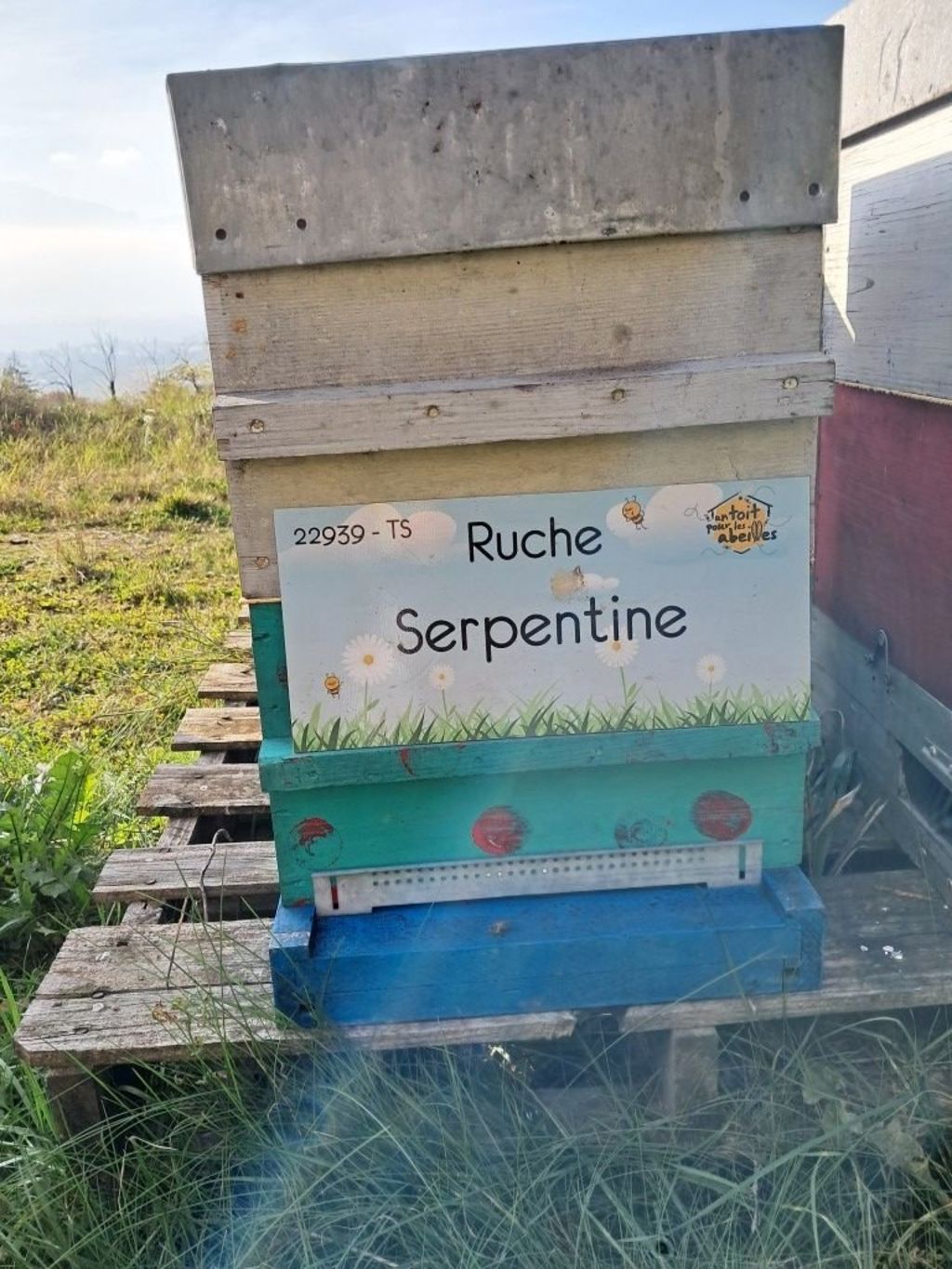 La ruche Serpentine