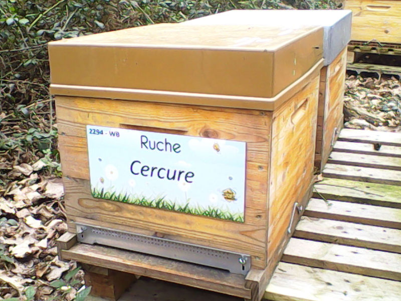 La ruche