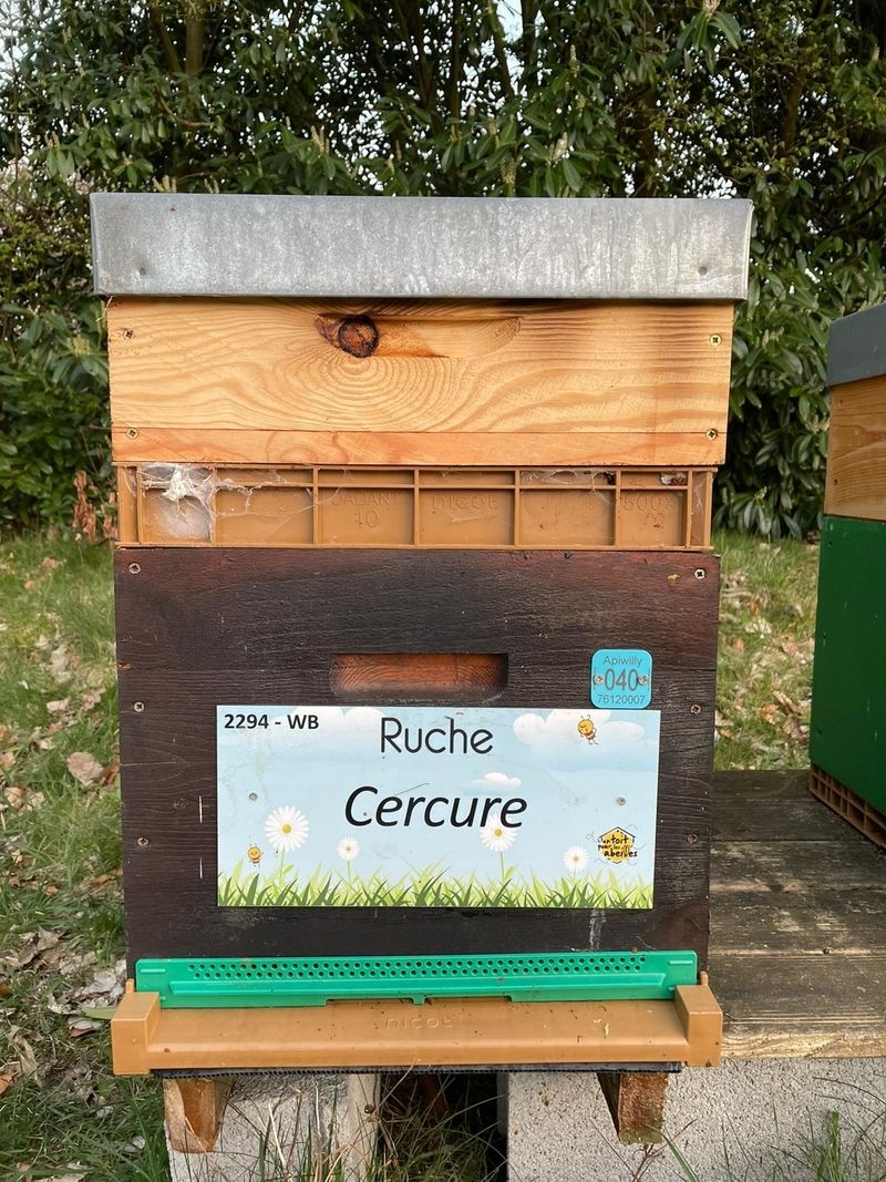 La ruche