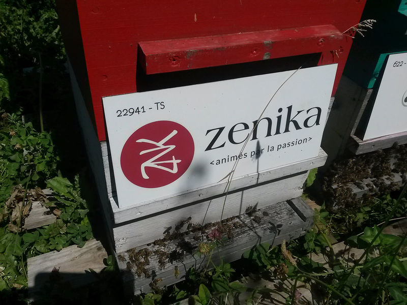 La ruche Zenika 