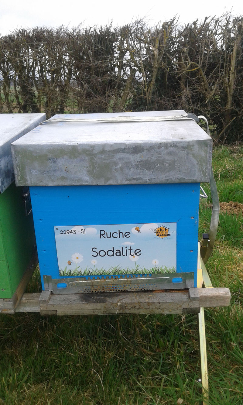 La ruche