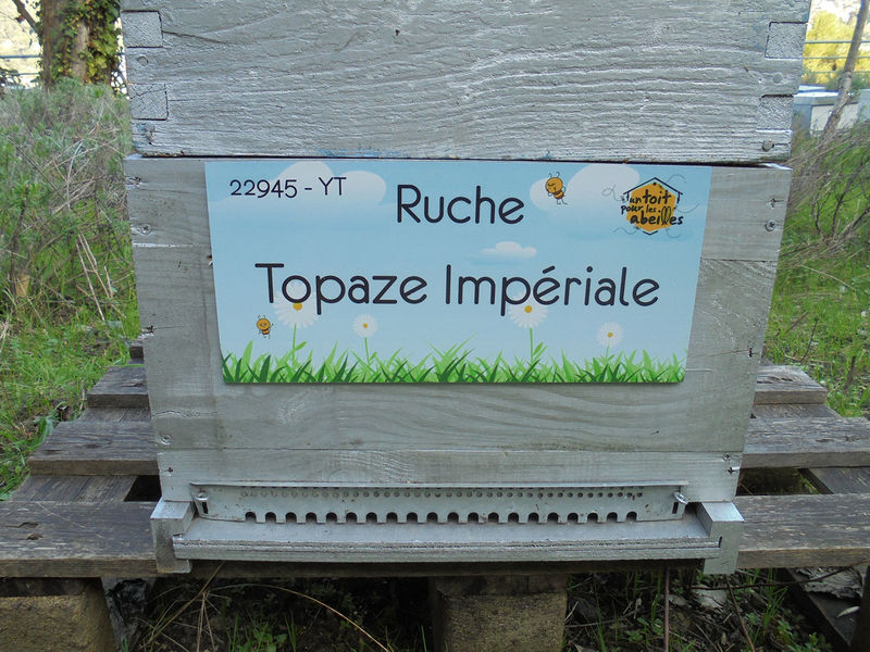 La ruche Topaze Impériale
