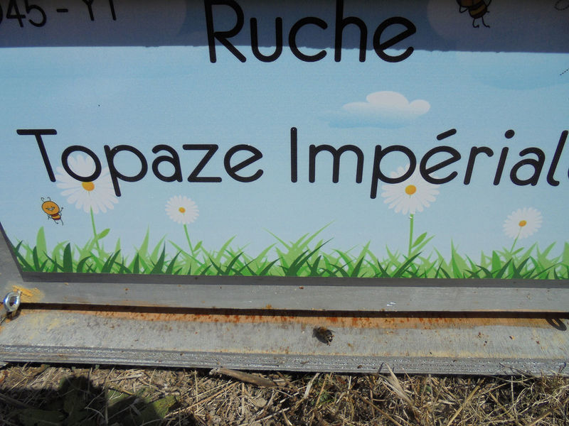 La ruche Topaze Impériale