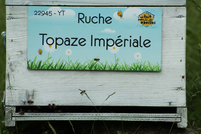 La ruche Topaze Impériale