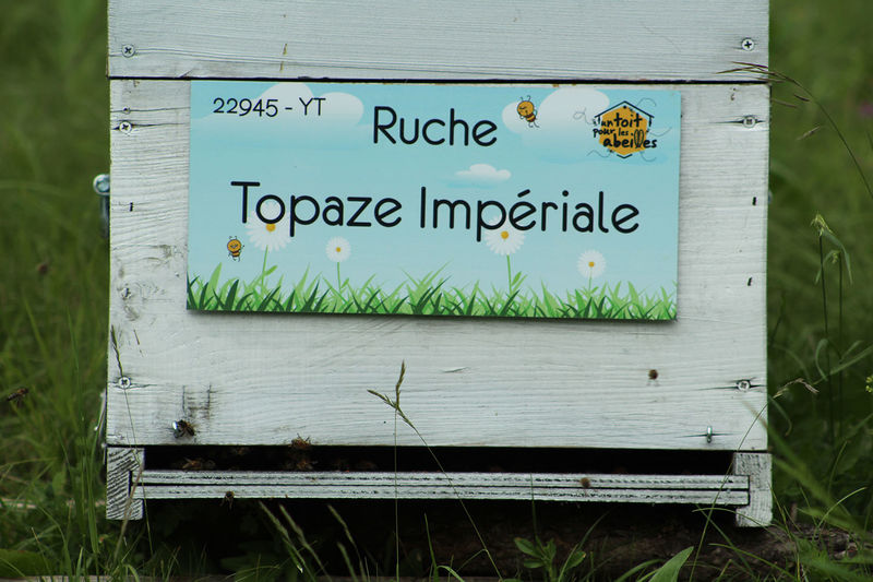 La ruche Topaze Impériale